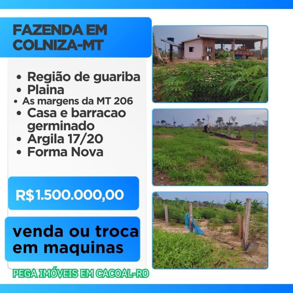 350 HECTARES EM COLNIZA-MT 350 HECTARES EM COLNIZA-MT