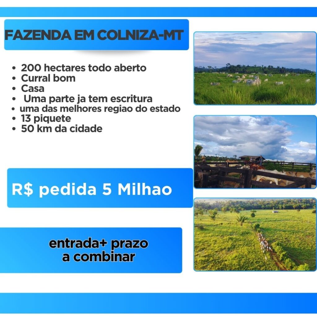 200 HECTARES EM COLNIZA-MT 200 HECTARES EM COLNIZA-MT