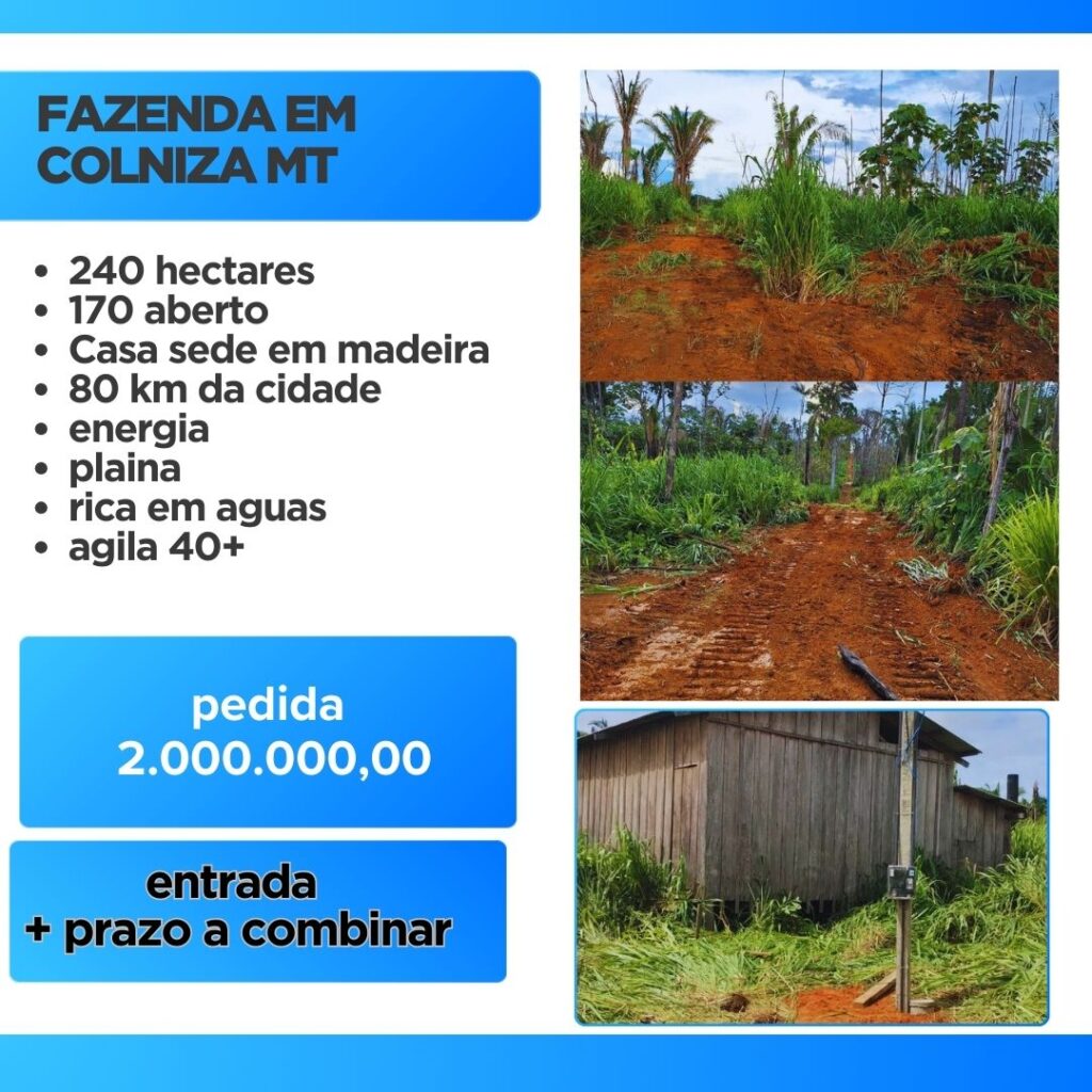 240 HECTARES EM COLNIZA/MT 240 HECTARES EM COLNIZA/MT