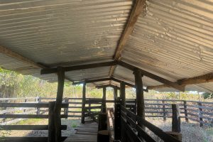 IMG_0767
